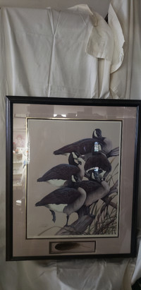 Frame showing a family of Canadian geese