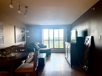 Downtown 1 Bedroom Fully Furnished Condo