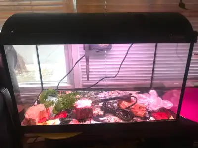 Waterhome Complete LED Aquarium  Kit Italien 18 gallons, View more