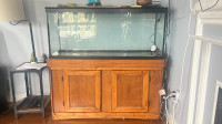 Large Aquarium tank along with stand 