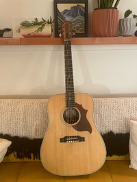 Gibson Hummingbird Sustainable 