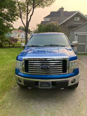 2010 Ford F 150