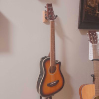 Beaver Creek guitar 