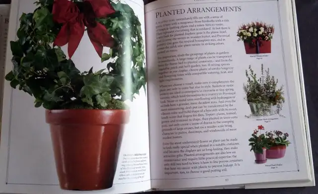 Complete guide to flower arranging (fresh/silk/dried/more...) in Hobbies & Crafts in Strathcona County - Image 9