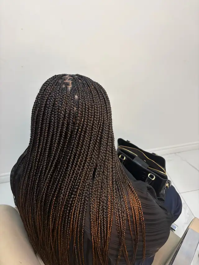 African Braids573776335293665283
