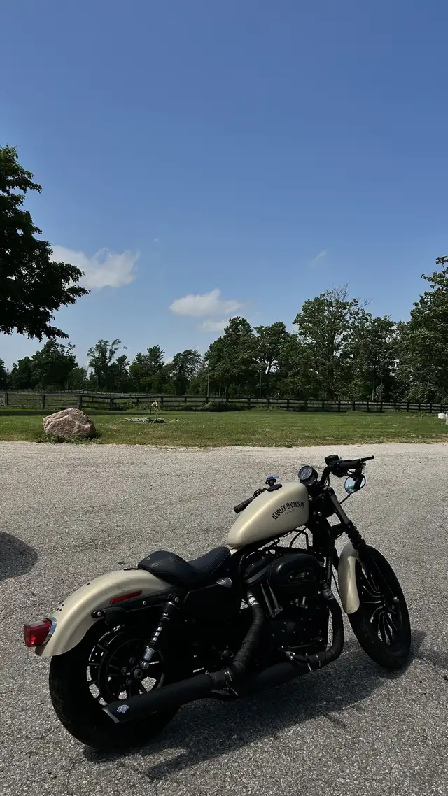 Harley-Davidson Sportster 883 in Street, Cruisers & Choppers in Oakville / Halton Region - Image 2