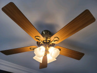 Ceiling Fan (Hunter)