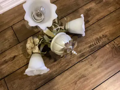 Light fixture, View more