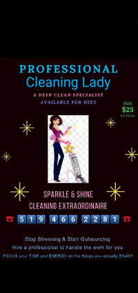 I'm a Professional Cleaner serving Sarnia and Surrounding areas