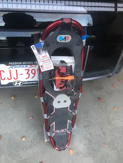 new snowshoes, View more