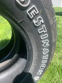 Set of 2 Firestone Tires