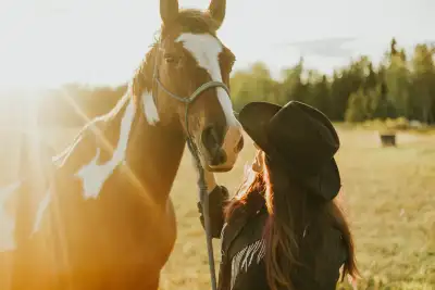 Horse Training, View more