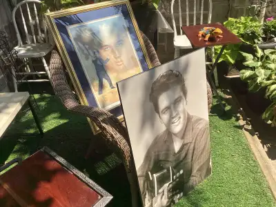 ELVIS  ART  WORKS, View more