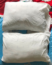 Two standard queen size pillows