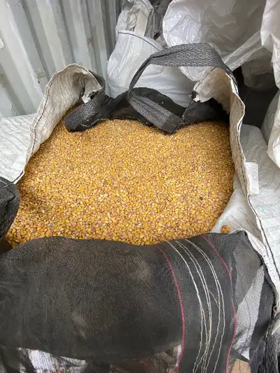 I have for sale oats and barley in tote bags approximately 3/4 of a ton, or I can load your truck. C...