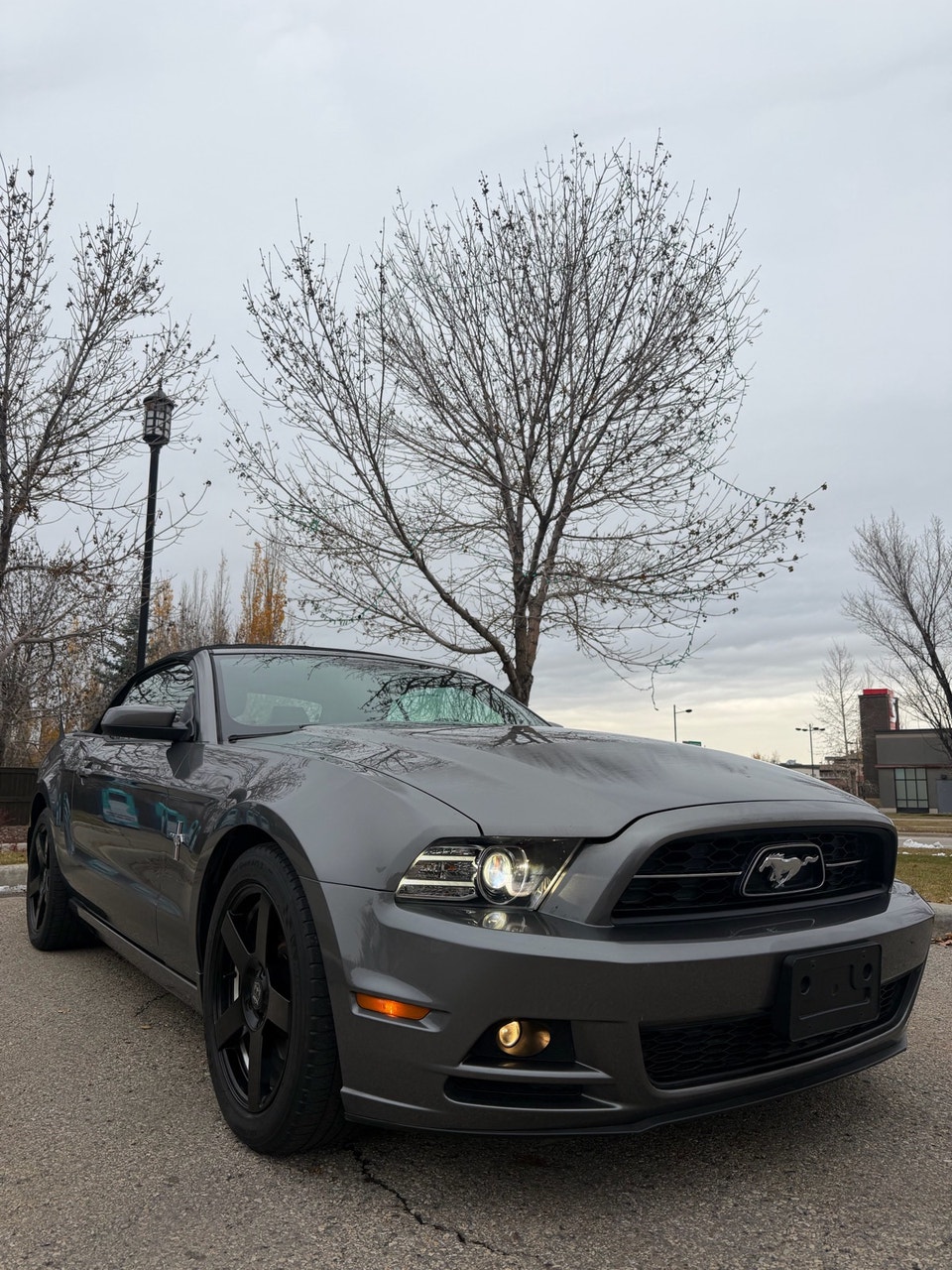 Ford Mustang 2014 | Cars & Trucks | Calgary | Free local classifieds ...