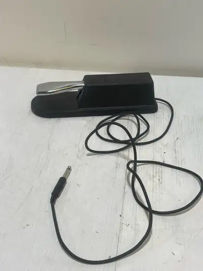 Yamaha FC4 Sustain Pedal, View more