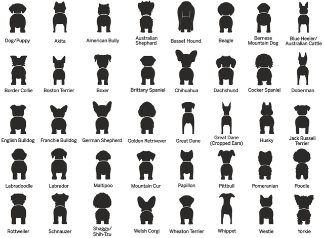 Dog Cat Leash Keys Holder Organizer in Accessories in Saskatoon - Image 7