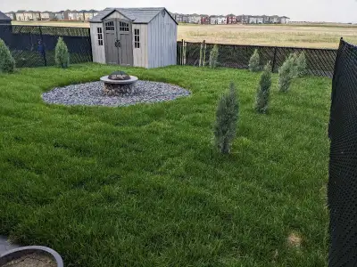Landscaping - Dirt Supply and Grading -Tree install -Sod removal & install - Mulch, Colours Availabl...