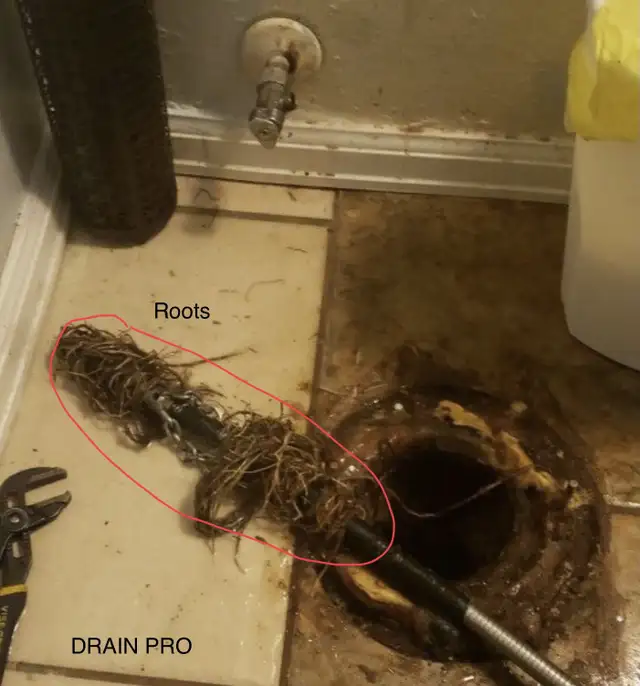 UNCLOG BLOCKED DRAINS  ☎️ 416-523-8632  ☎️EMERGENCY REPAIRS64519980249730124