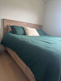 King size bed frame (excellent condition) Edmonton Edmonton Area Preview
