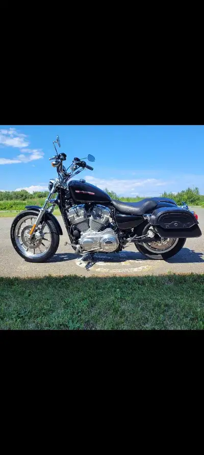 2007 harley davidson Sporter 883 Looking to Sell Or trade for a Clean skidoo Tundra or Yamaha Bravo