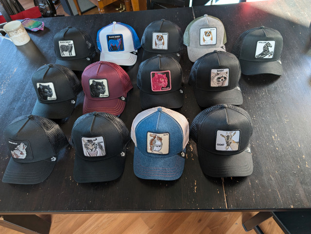 Goorin Bros Trucker Hats - The Farm Collection - NEW in Men's in Edmonton