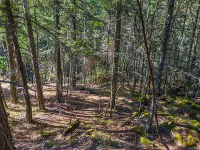 Priced below assessment, this sun-drenched half-acre property offers exceptional value and opportuni...