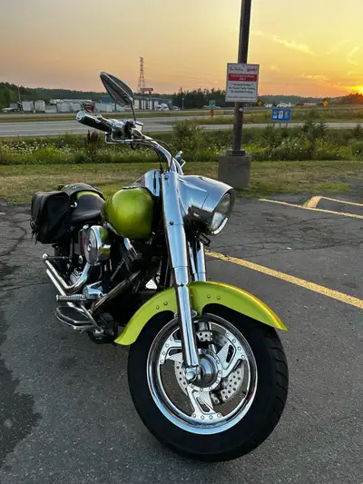 Custom 1997 Haley fat boy. Custom paint and lots of extras. Only 30k miles . Has the evo engine for...