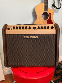 Fishman Loudbox Mini Acoustic Guitar and mic amplifier
