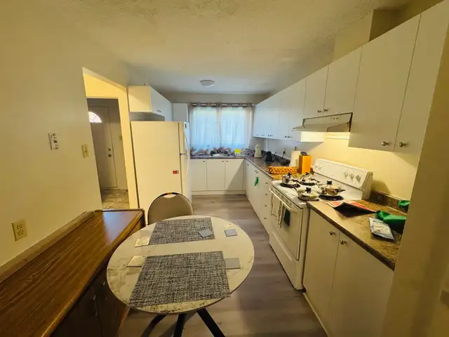 Private Rooms for Rent in Downtown Ottawa in Room Rentals & Roommates in Ottawa - Image 3