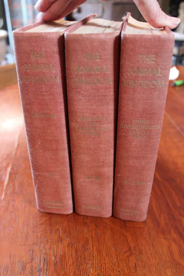 The Animal Kingdom - 3 Volumes - 1954