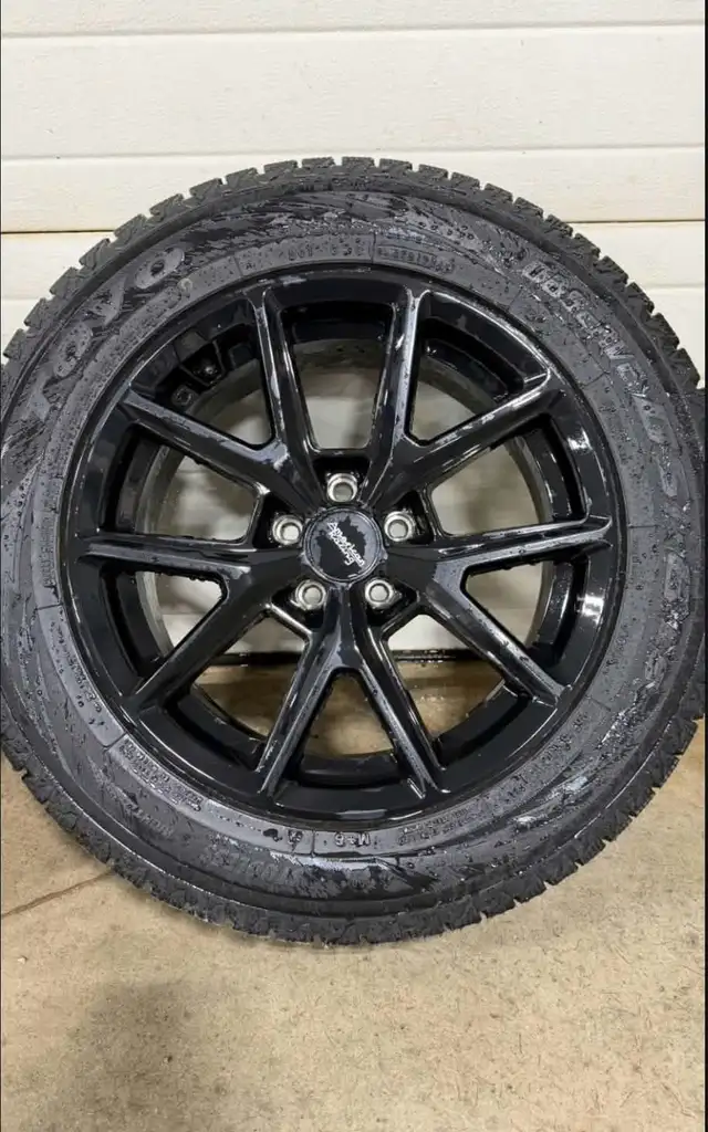 2022 BMW X5 Winter Wheels 18”