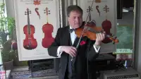 Violinist Event Wedding