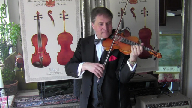 Violinist Event Wedding in Artists & Musicians in Markham / York Region