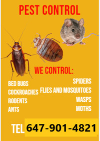 Pest control, cockroaches, Rats, Mice, bed bugs, 647-901-4821