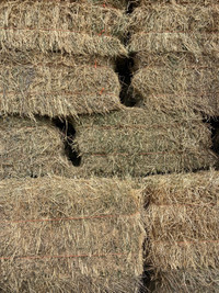 Small square bales