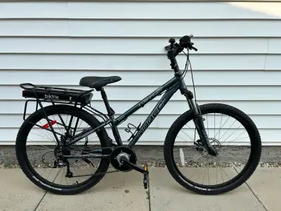 Norco Bushpilot 12.5”frame (small size) e-bike conversion. My wife is 5ft so we converted her bike t...
