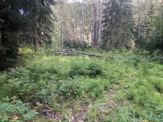 Lot for Sale in Rock Creek in Land for Sale in Whitehorse - Image 7
