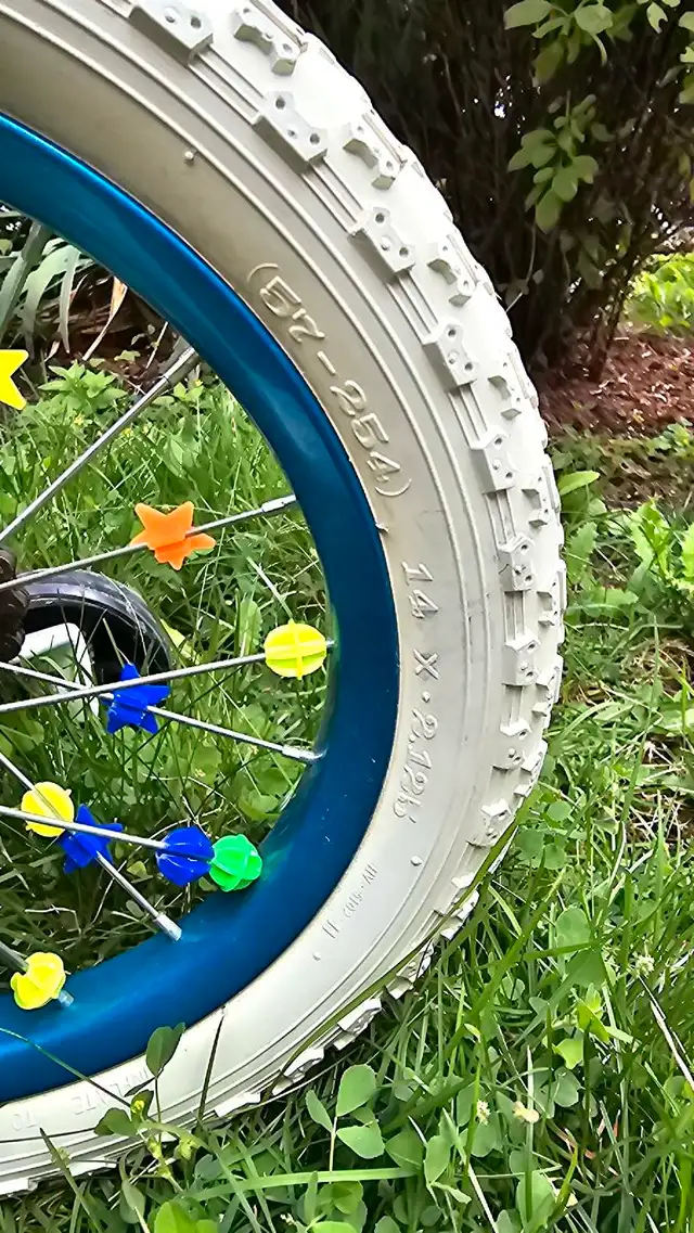 Shimmer and Shine Bike63654759247745123