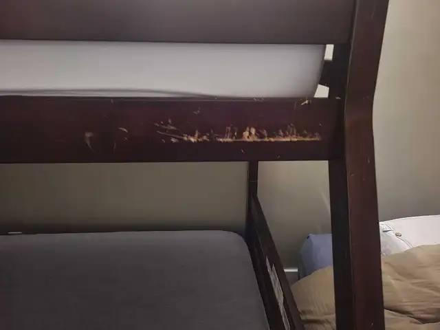 Bunkbed Frame in Beds & Mattresses in Ottawa - Image 3