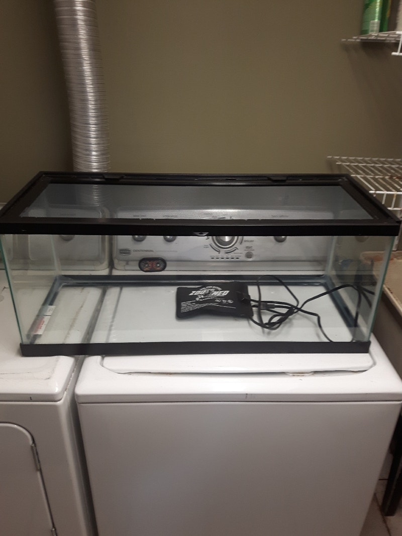 20 Gallon Long Terrarium with Sliding Locking Screen Lid Reptiles