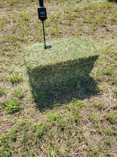 First cut Small Square Hay bales for sale. Moisture between 8.0% & 8.5%. Roughly 1/3 Alfalfa, Timoth...