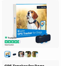 Dog tracker 