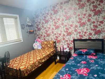 Room for rent
