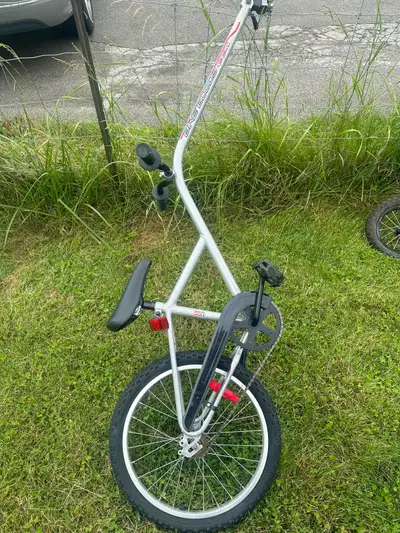 20 inch bike trailer attached to adult bike for easy riding teaches child to ride and keeps them saf...