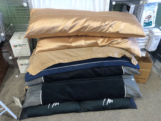 Body pillows in Beds & Mattresses in Saskatoon