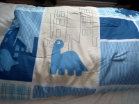 Dinosaur comforter and pillow