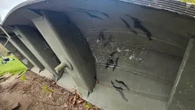 Salut je vend ma chaloupe de 14 pied en aluminium seulement donc sans remorque et sans moteur Je sui...