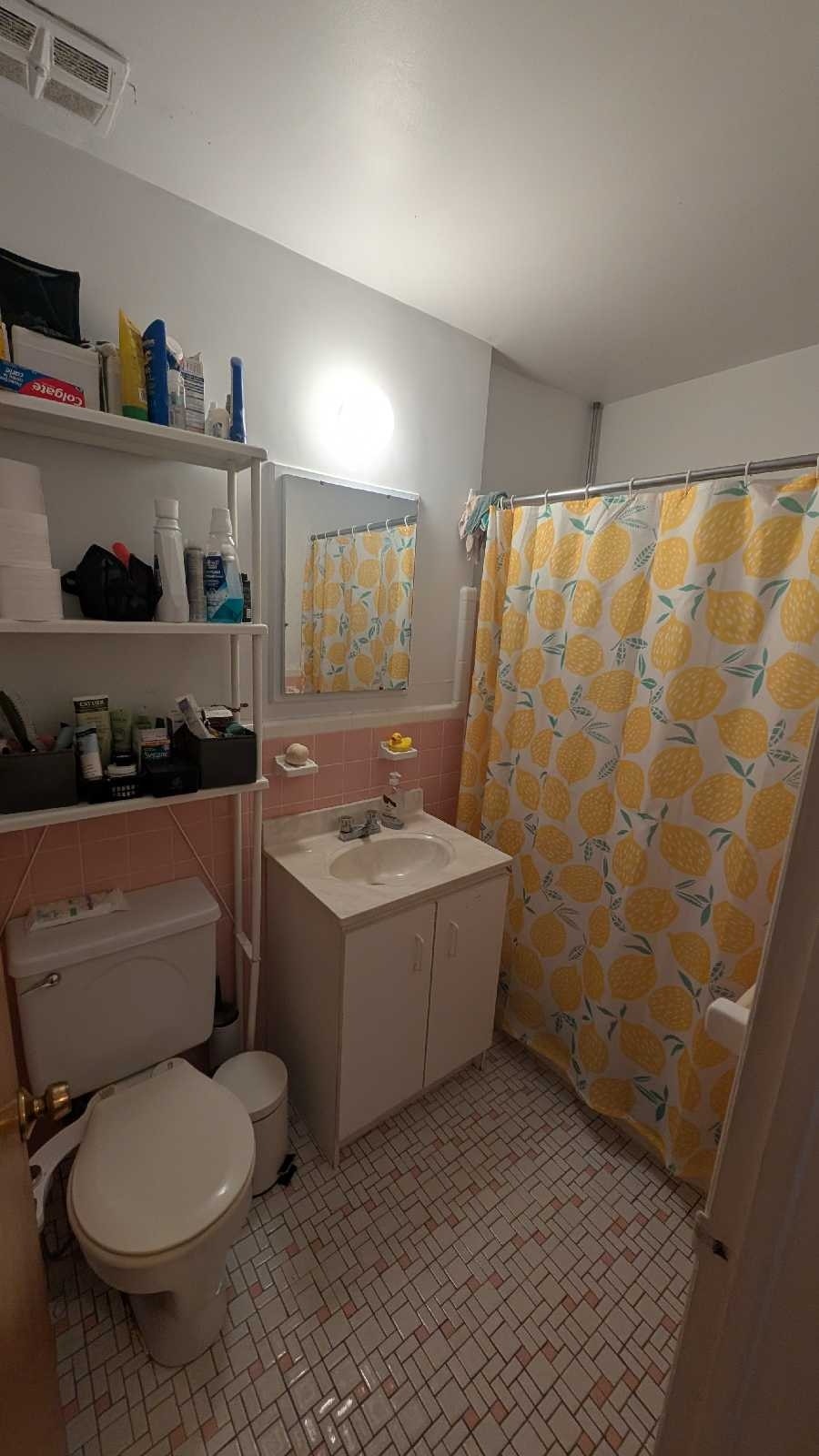 cession de bail 4½ - Nouveau Rosemont — photo 3